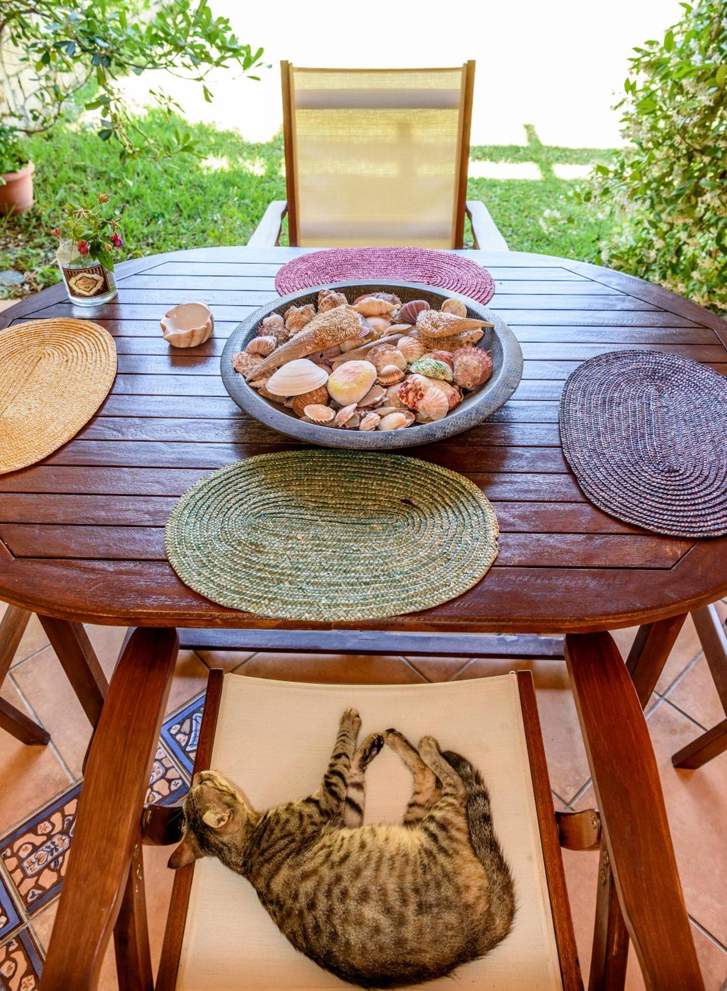 La Luna House 佩科霍里 外观 照片